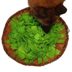 Prairie à renifler diamètre 48cm